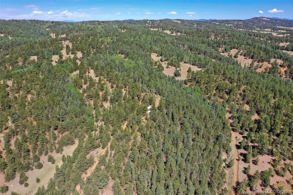 20083 S State Highway 67 Divide CO 80814
