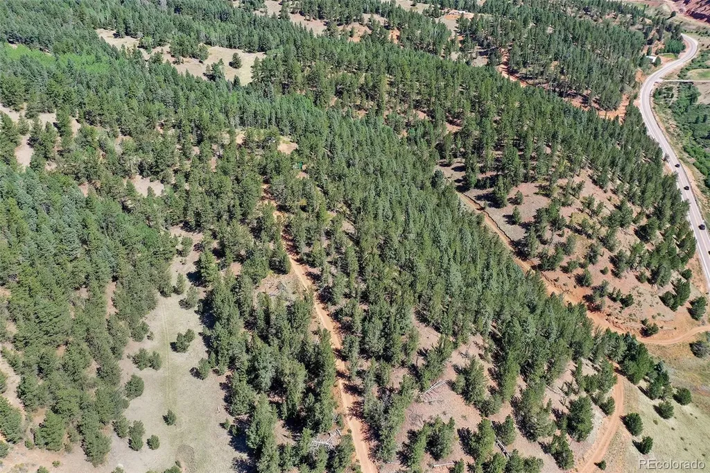 20083 S State Highway 67 Divide CO 80814