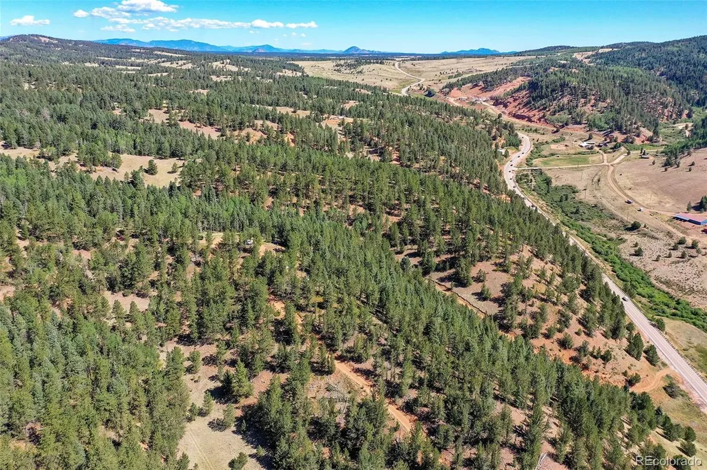 20083 S State Highway 67 Divide CO 80814