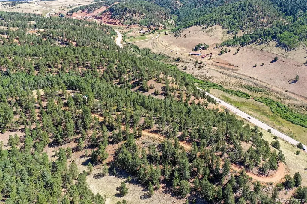 20083 S State Highway 67 Divide CO 80814