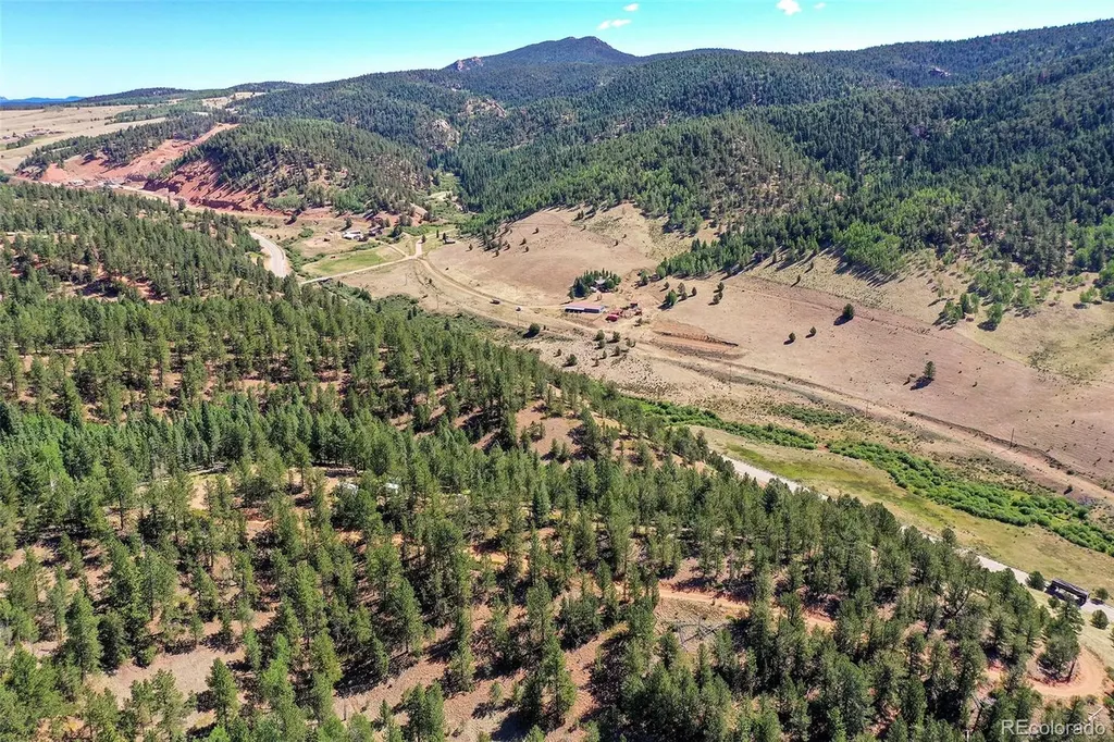 20083 S State Highway 67 Divide CO 80814