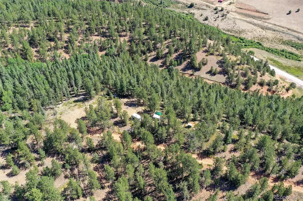 20083 S State Highway 67 Divide CO 80814