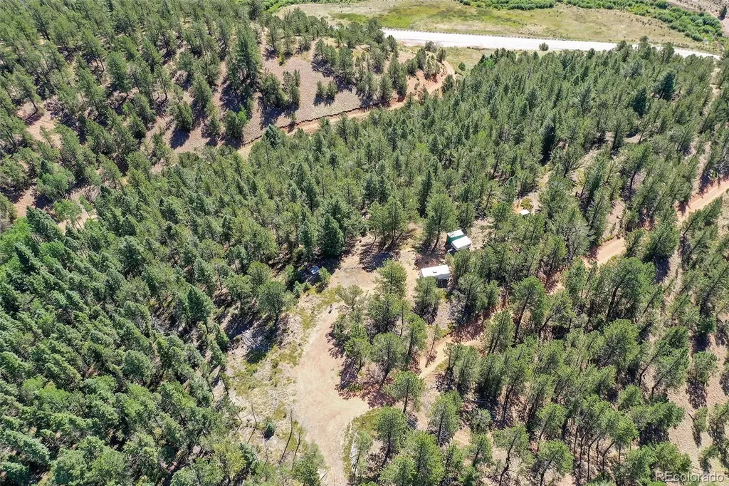 20083 S State Highway 67 Divide CO 80814