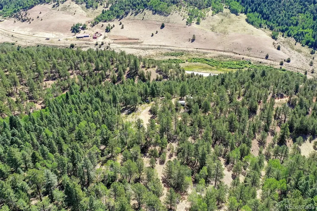 20083 S State Highway 67 Divide CO 80814