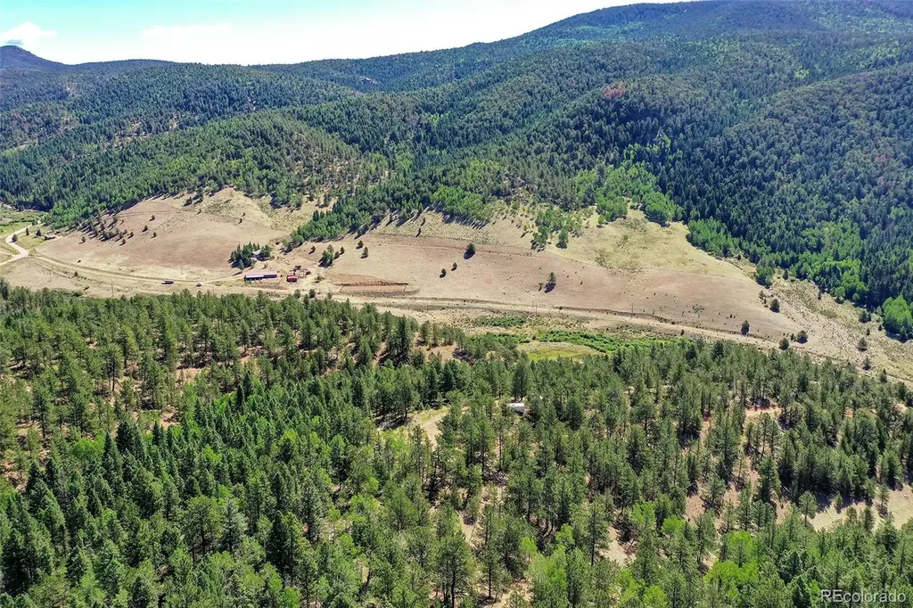 20083 S State Highway 67 Divide CO 80814