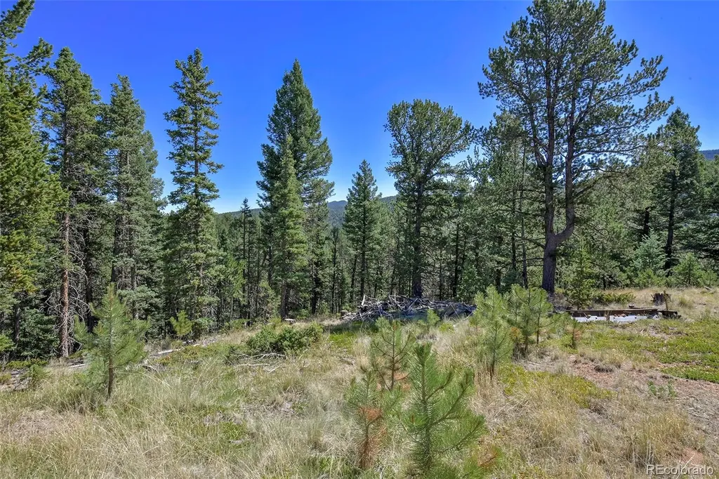 20083 S State Highway 67 Divide CO 80814
