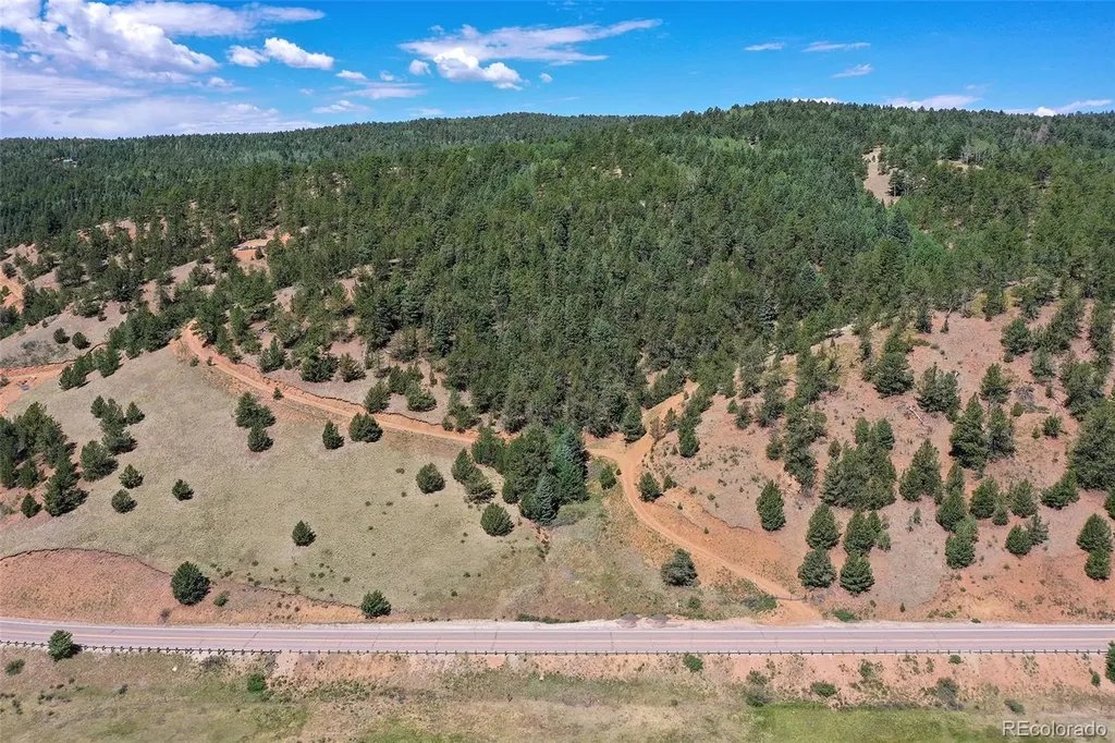 20083 S State Highway 67 Divide CO 80814
