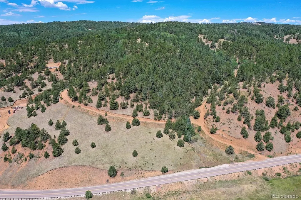 20083 S State Highway 67 Divide CO 80814
