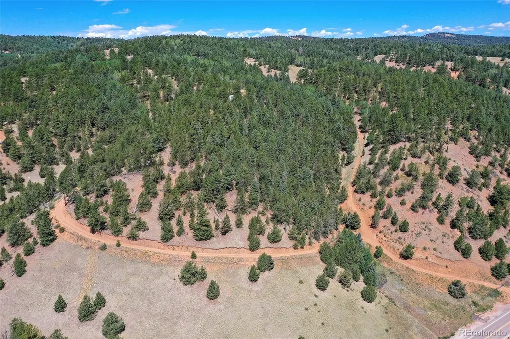 20083 S State Highway 67 Divide CO 80814