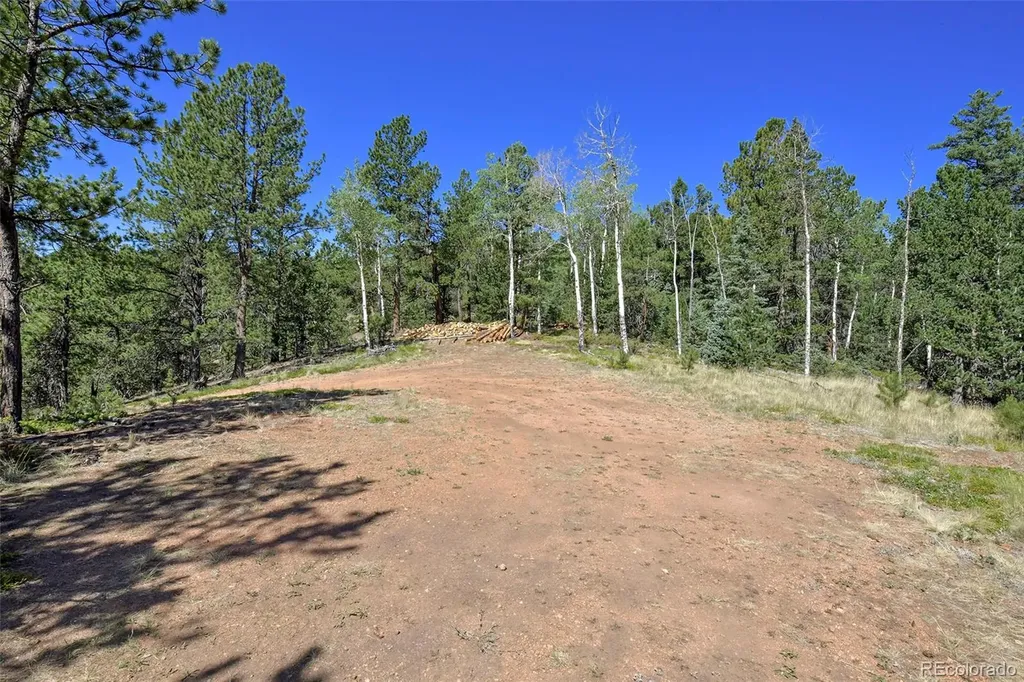 20083 S State Highway 67 Divide CO 80814
