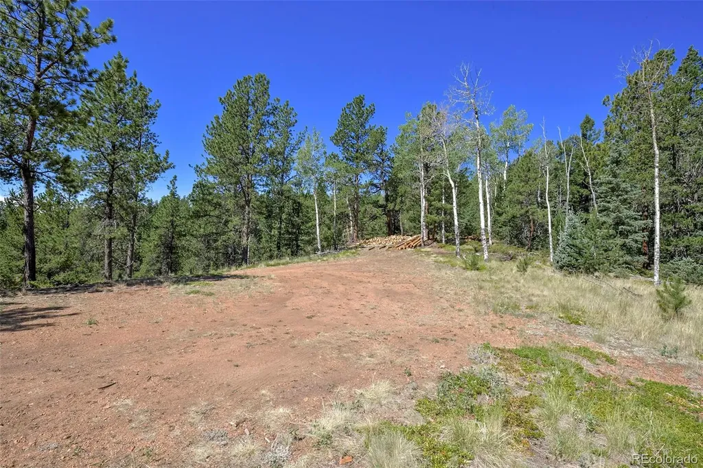 20083 S State Highway 67 Divide CO 80814