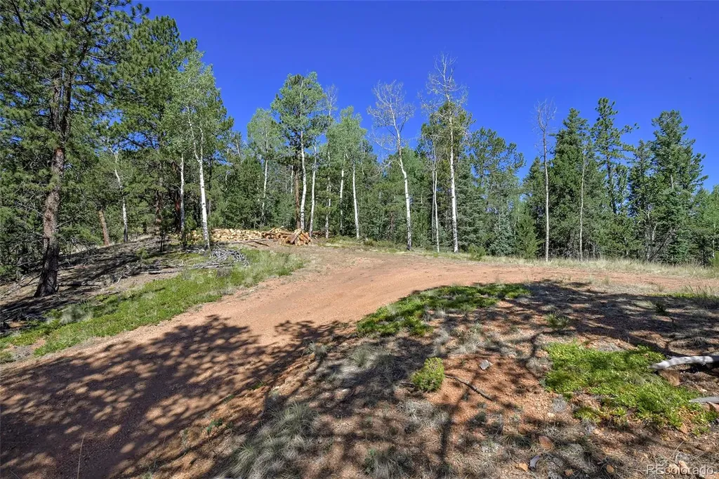 20083 S State Highway 67 Divide CO 80814