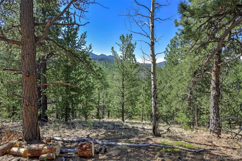 20083 S State Highway 67 Divide CO 80814