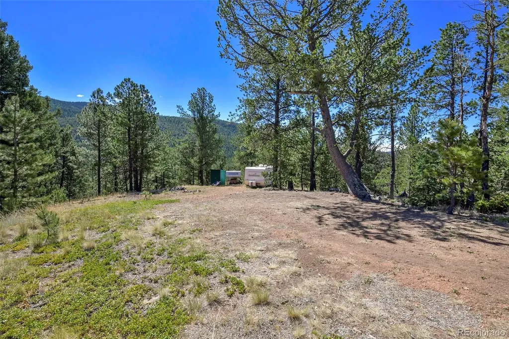 20083 S State Highway 67 Divide CO 80814