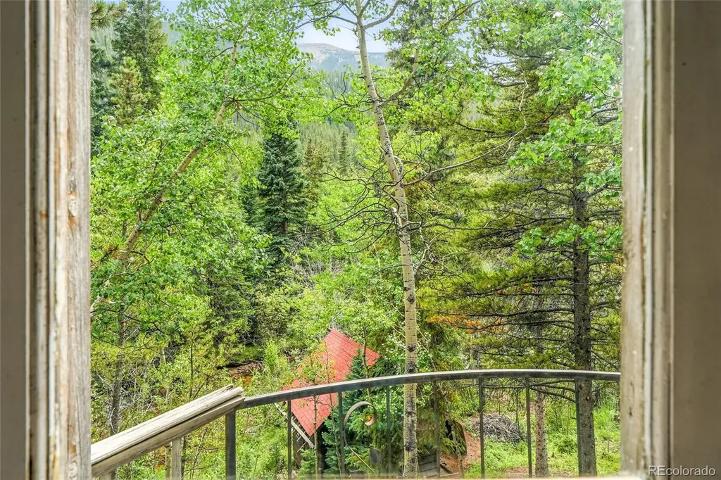 1493 Silver Valley Road Silver Plume CO 80476