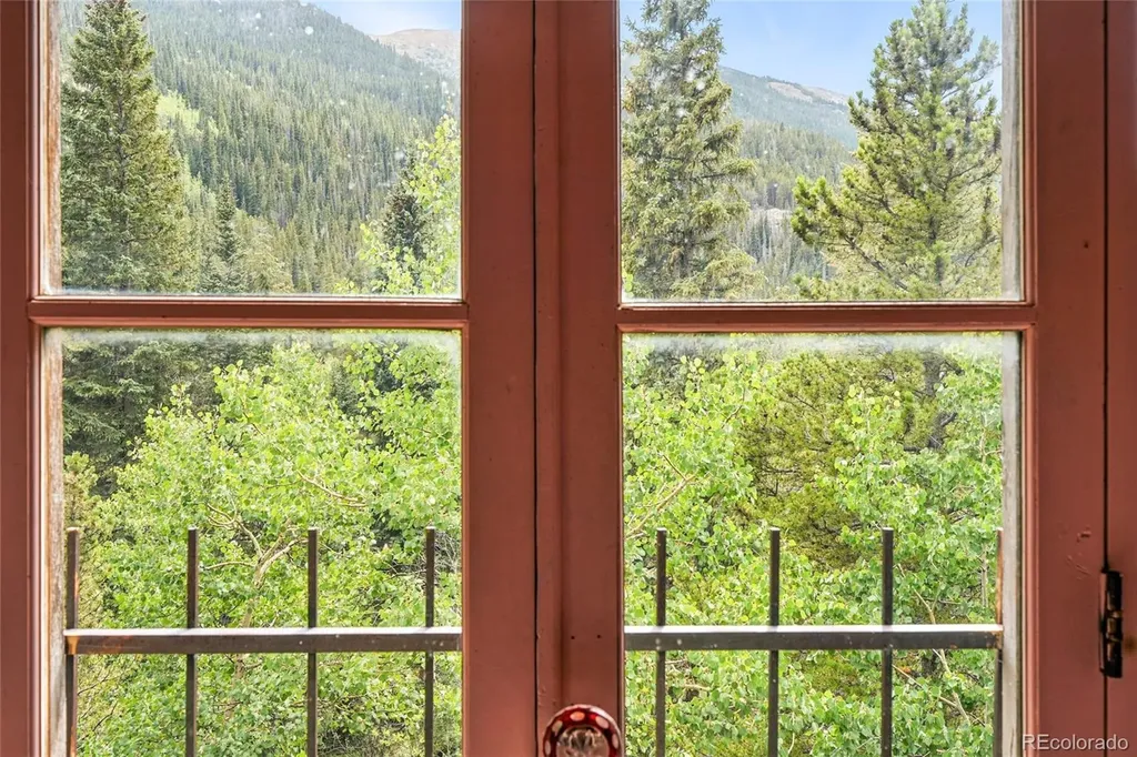 1493 Silver Valley Road Silver Plume CO 80476