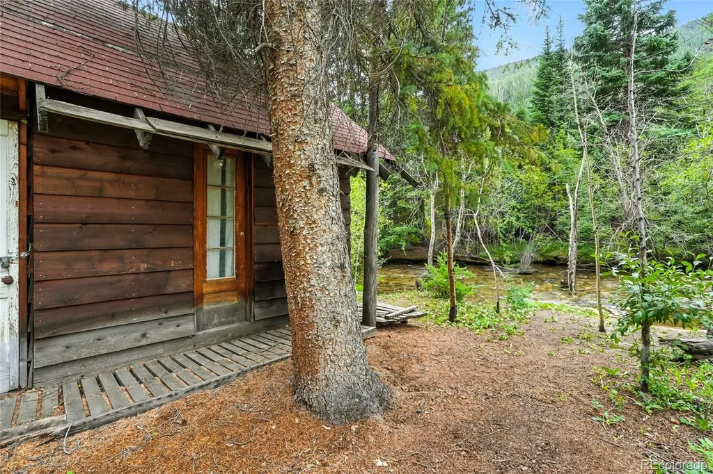 1493 Silver Valley Road Silver Plume CO 80476