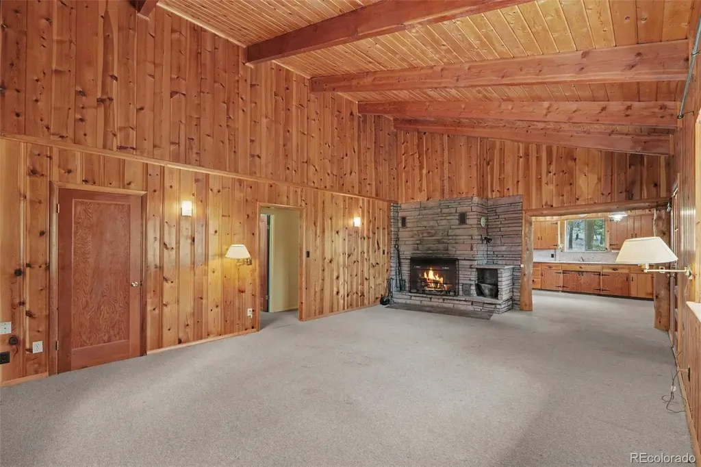 23300 Pleasant Park Road Conifer CO 80433