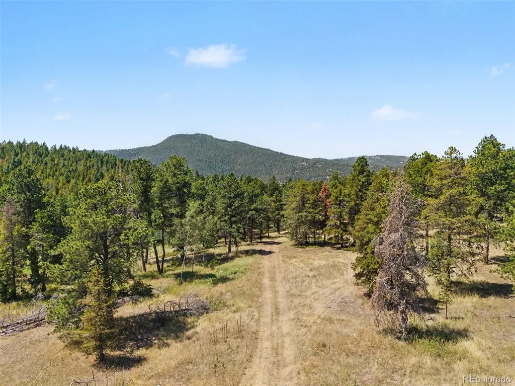 23300 Pleasant Park Road Conifer CO 80433