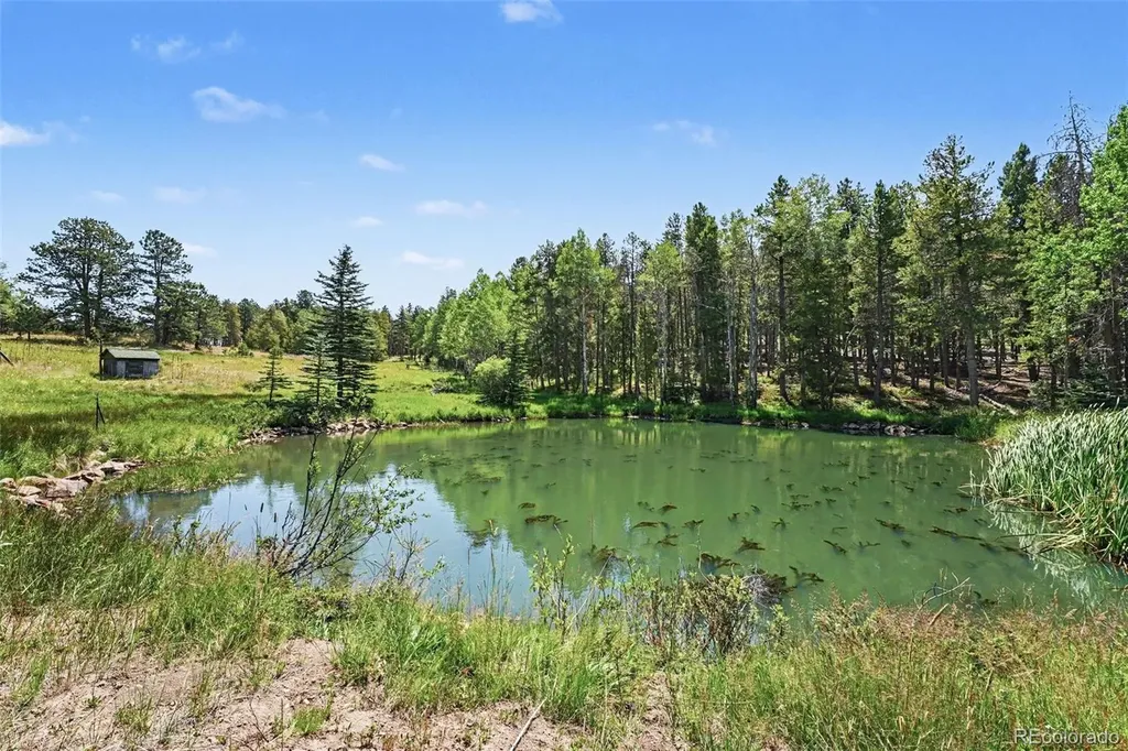 23300 Pleasant Park Road Conifer CO 80433