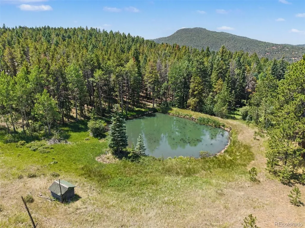 23300 Pleasant Park Road Conifer CO 80433