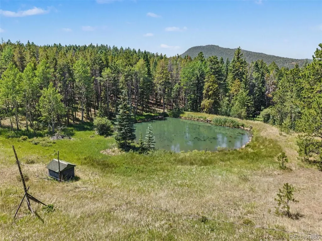 23300 Pleasant Park Road Conifer CO 80433