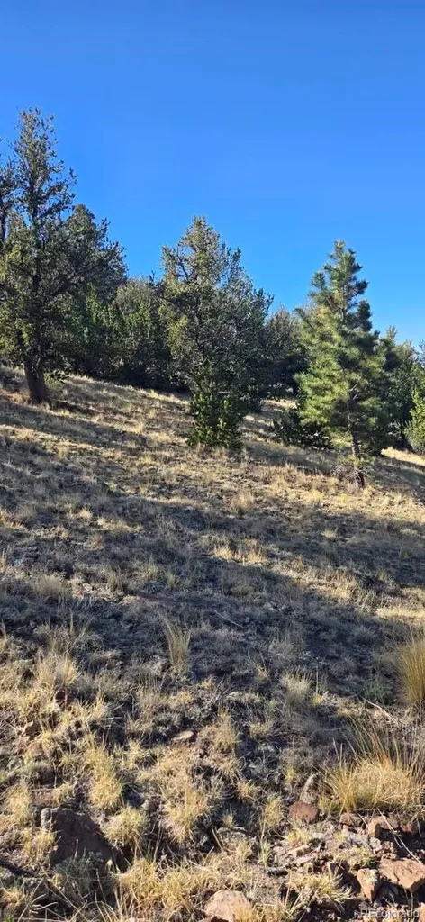 0 County Road 41g Center CO 81125