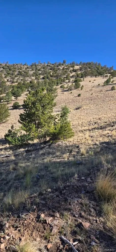 0 County Road 41g Center CO 81125