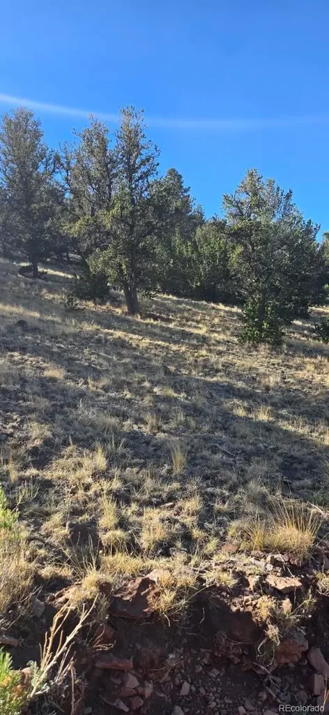 0 County Road 41g Center CO 81125