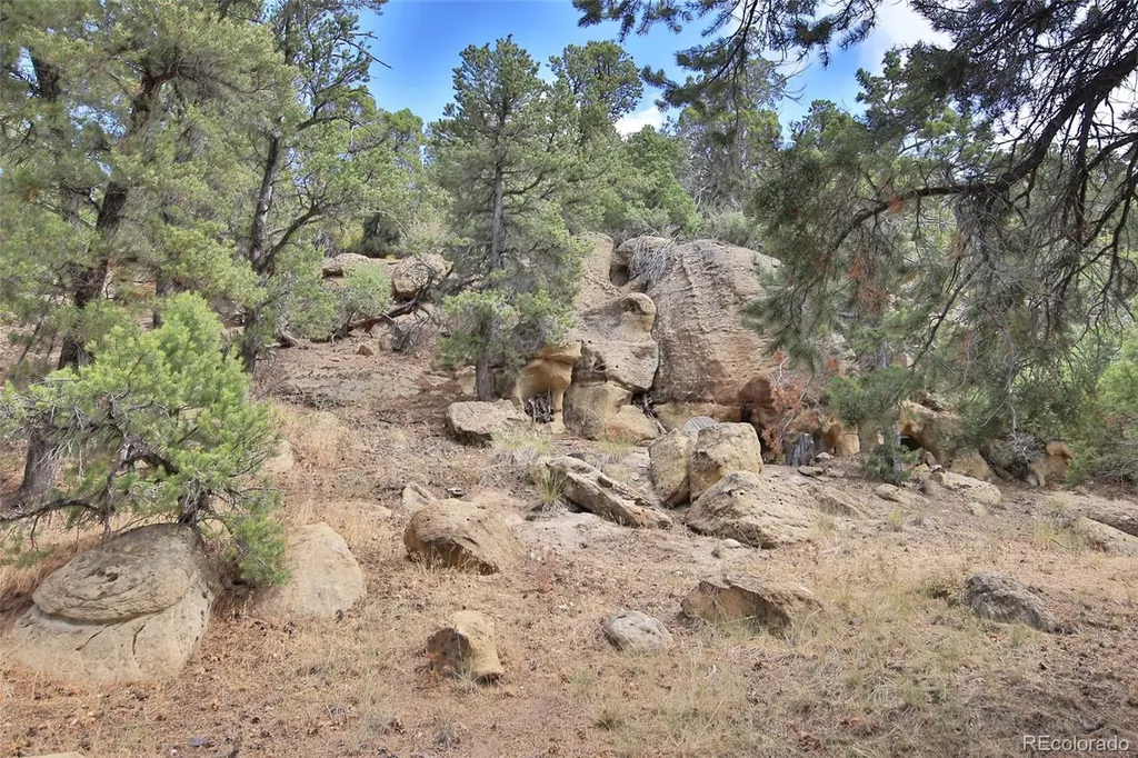 18842 Kimball Creek Road Collbran CO 81624