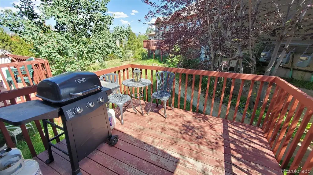 30 Spyglass Lane Silverthorne CO 80498