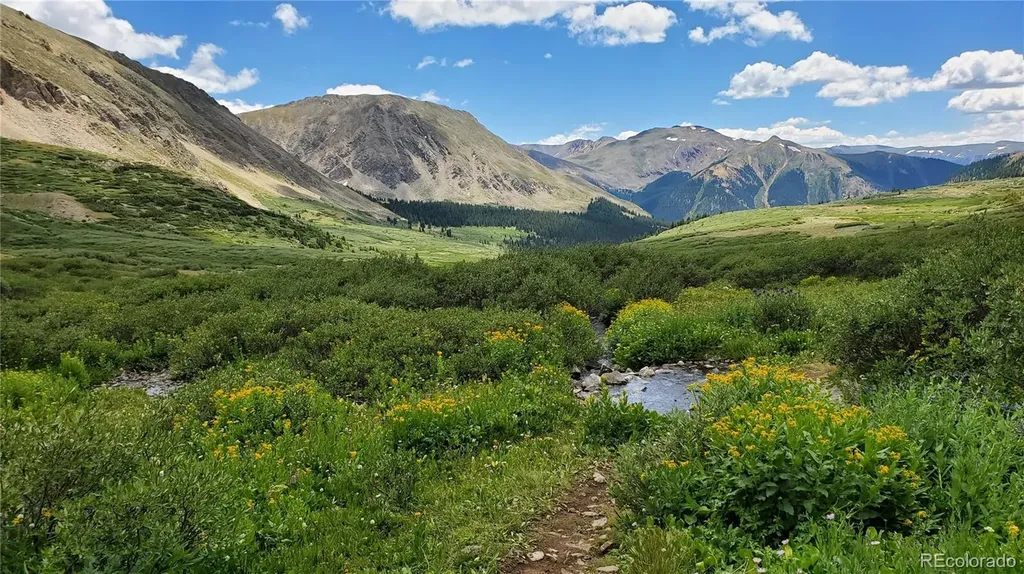 30 Spyglass Lane Silverthorne CO 80498