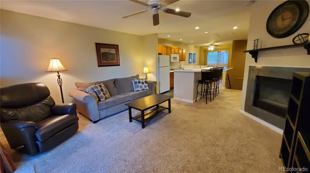 30 Spyglass Lane Silverthorne CO 80498