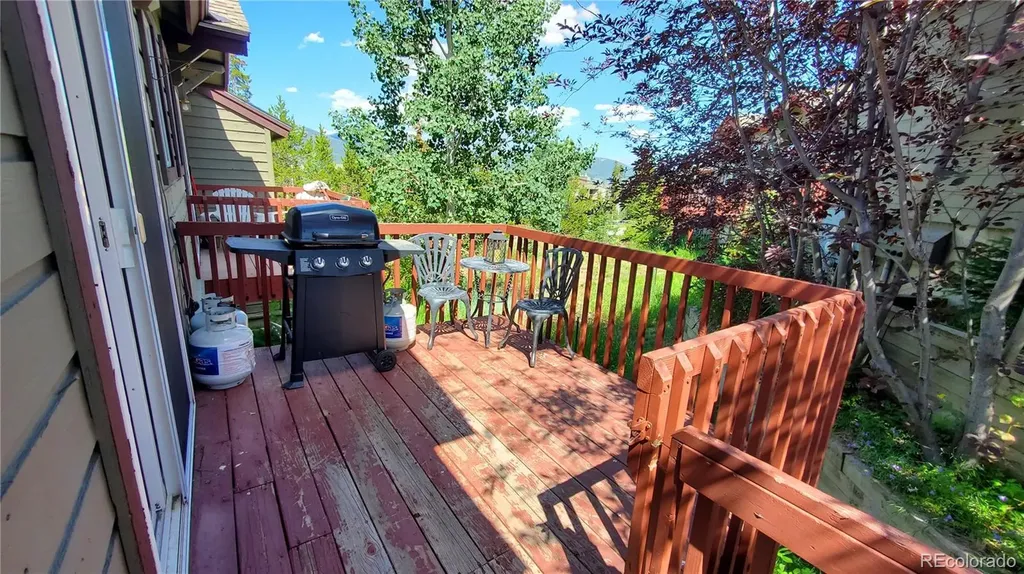 30 Spyglass Lane Silverthorne CO 80498