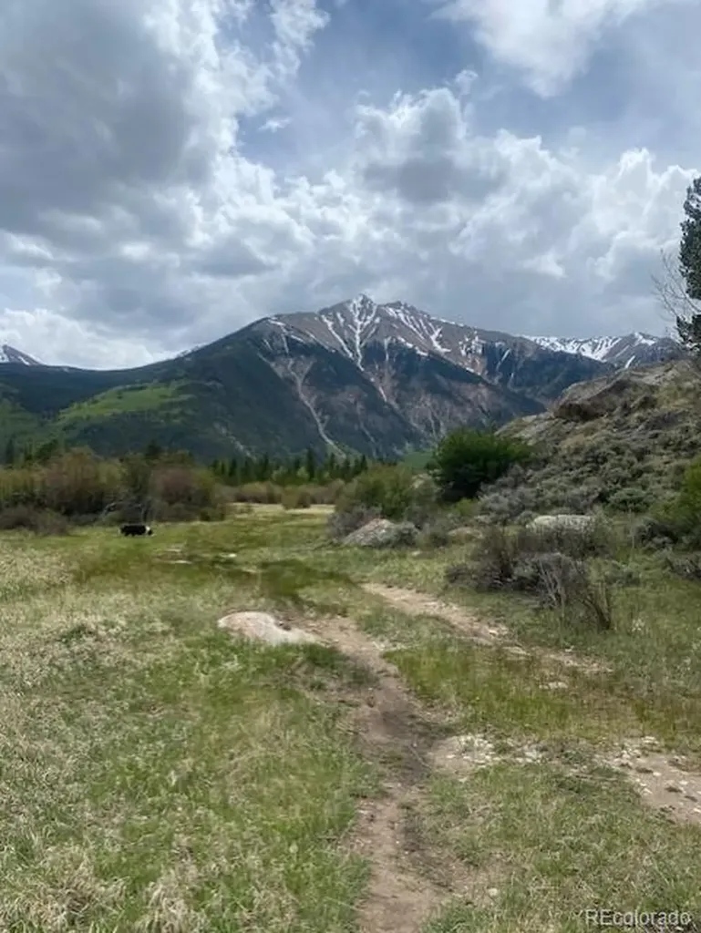 149 Lang Street Twin Lakes CO 81251