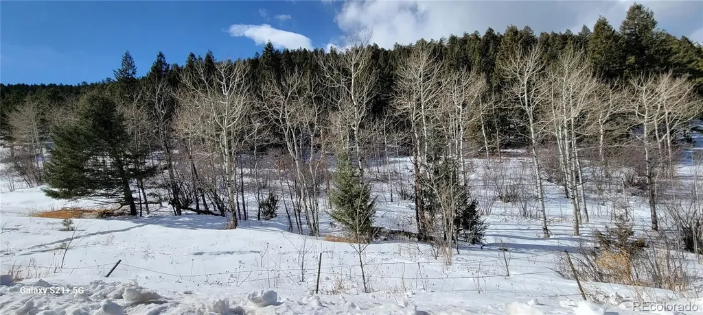 S Maxwell Hill Road Littleton CO 80127