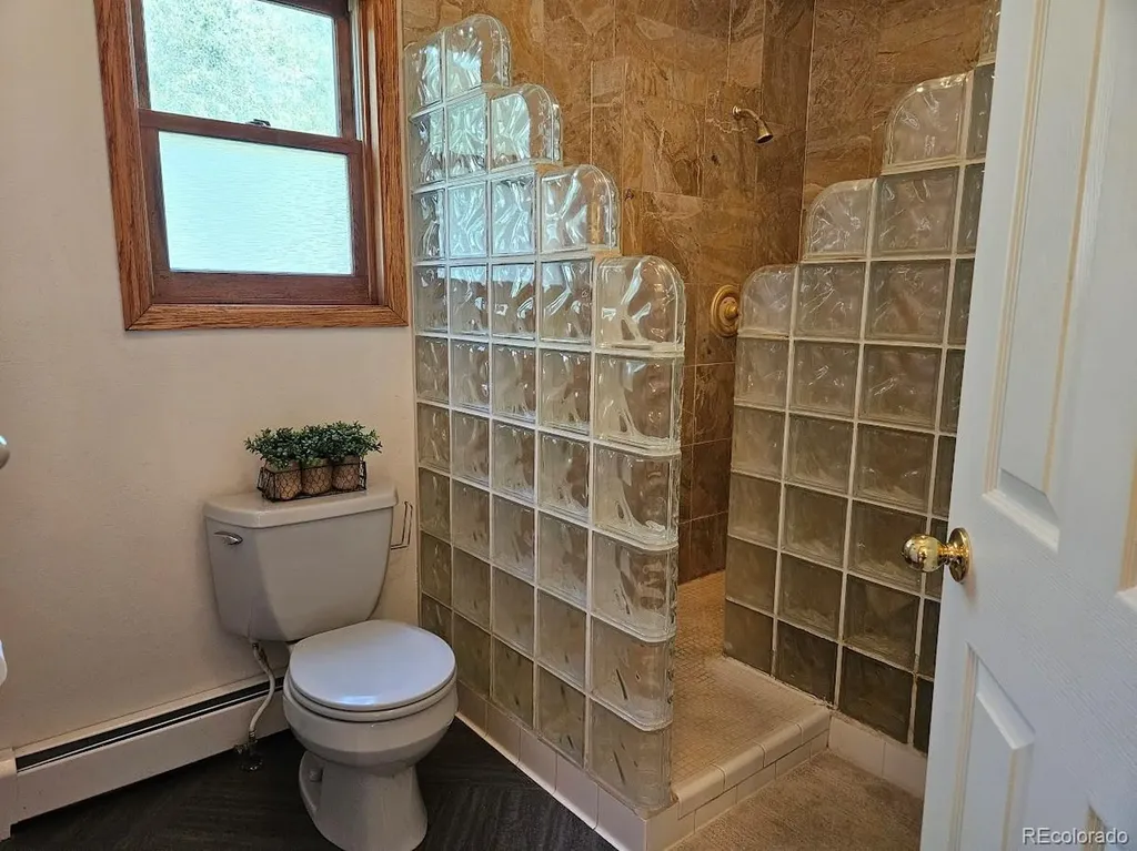 4725 County Road 107 Alamosa CO 81101