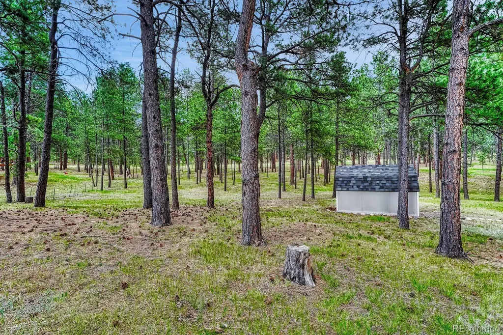 14225 Ponderosa Road Colorado Springs CO 80908
