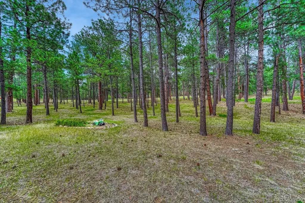 14225 Ponderosa Road Colorado Springs CO 80908