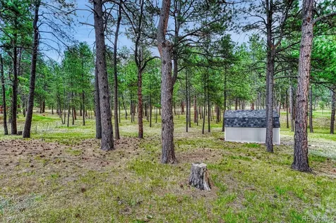 14225 Ponderosa Road Colorado Springs CO 80908
