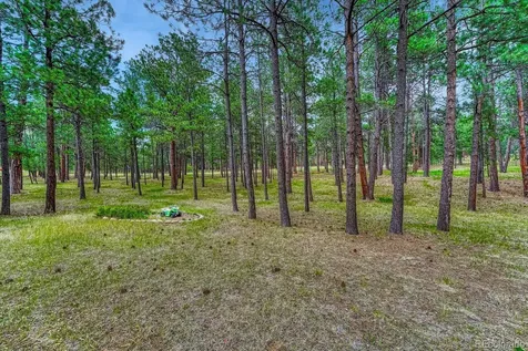 14225 Ponderosa Road Colorado Springs CO 80908
