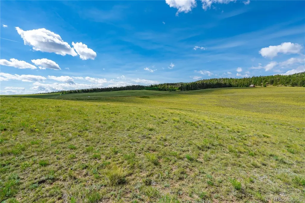 635 Hereford Drive Hartsel CO 80449