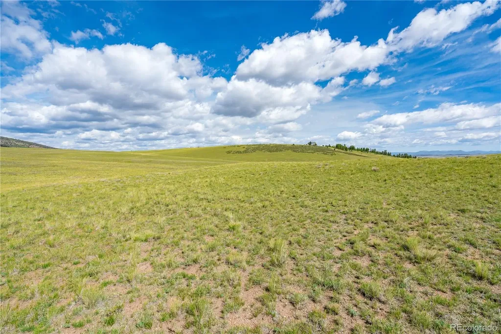 635 Hereford Drive Hartsel CO 80449