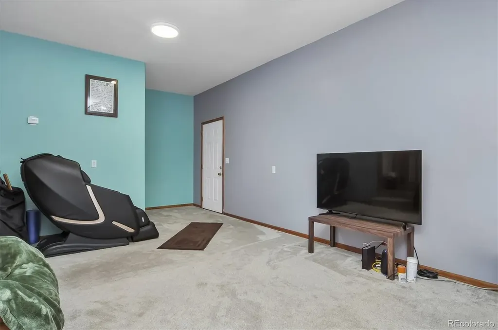 172 Larissa Lane Buena Vista CO 81211