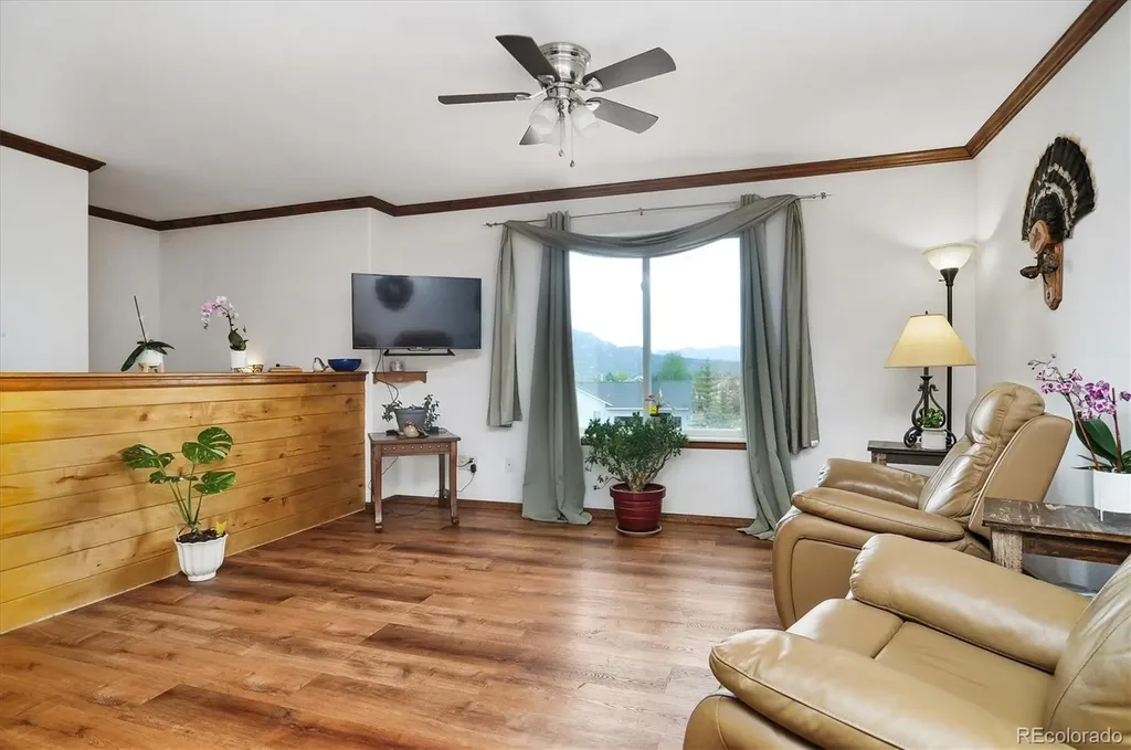 172 Larissa Lane Buena Vista CO 81211
