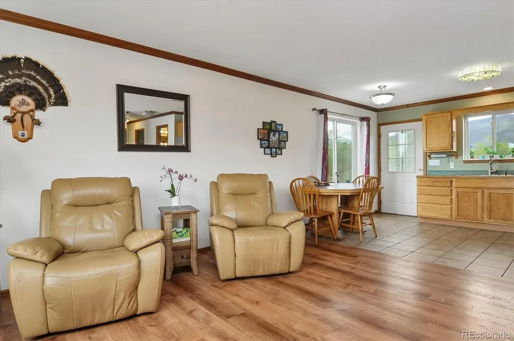 172 Larissa Lane Buena Vista CO 81211