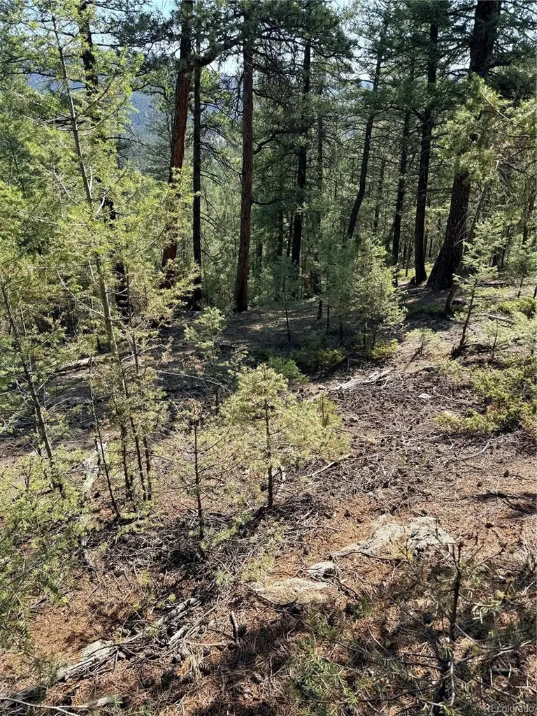 12907 S Cindy Avenue Pine CO 80470