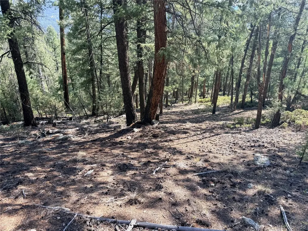 12907 S Cindy Avenue Pine CO 80470