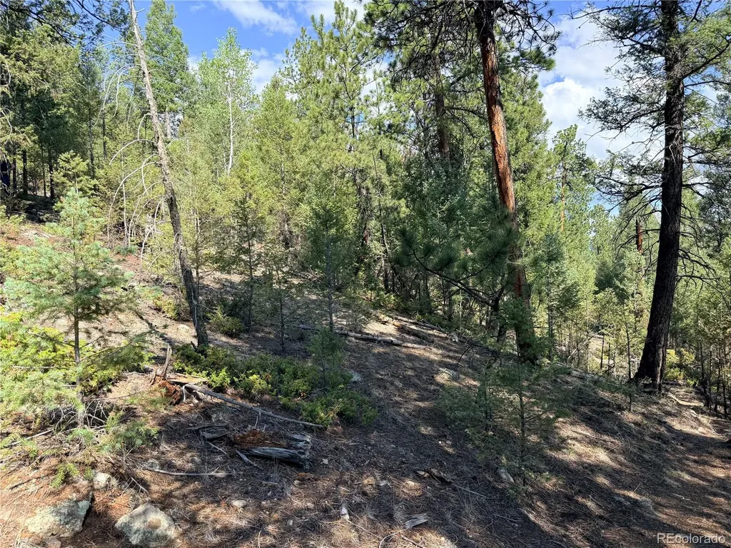 12907 S Cindy Avenue Pine CO 80470