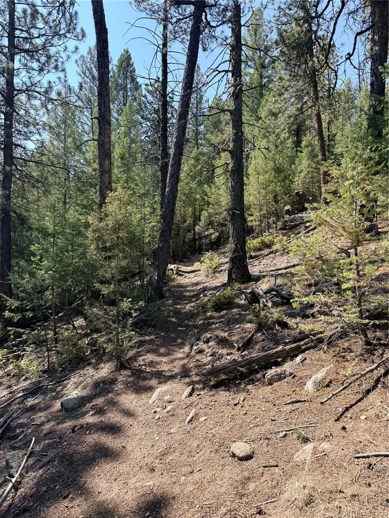 12907 S Cindy Avenue Pine CO 80470